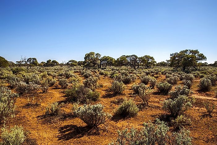 Where Does The Great Victoria Desert Lie?