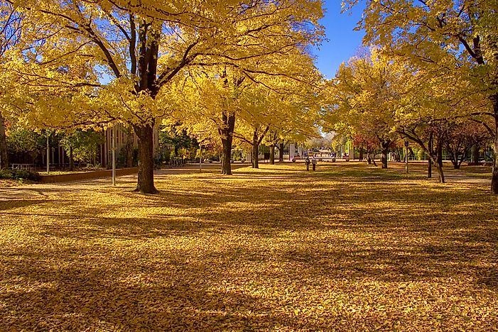 Australian National University - Institutions Around the World