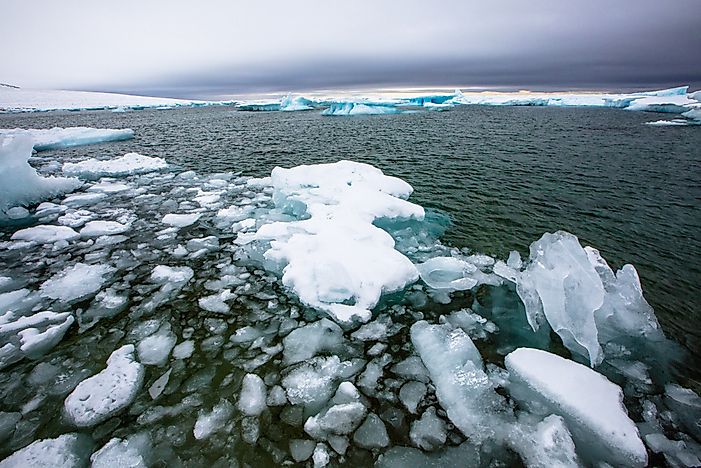 #4 Arctic Basin Marine