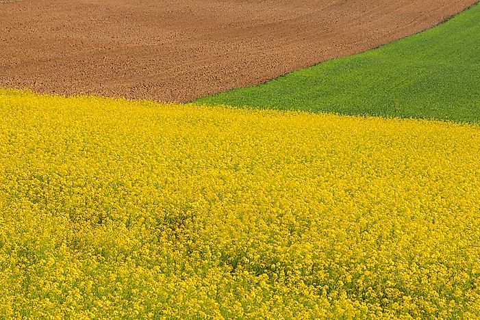 Where Are The Pannonian Countries Of Europe?