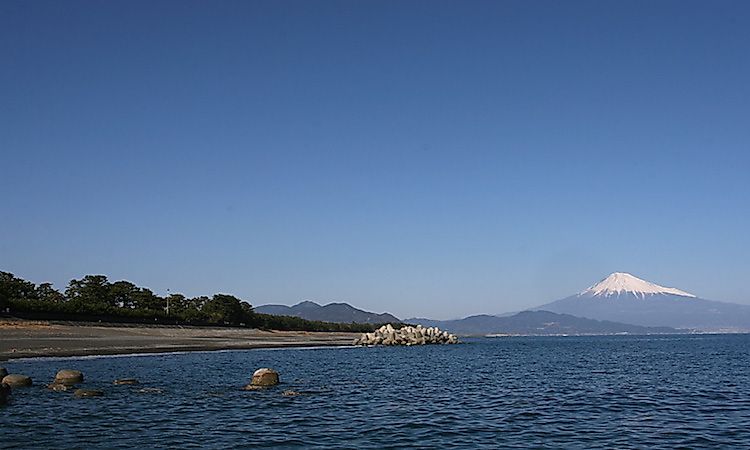 #2 Hagoromo no Matsu at Miho no Matsubara -