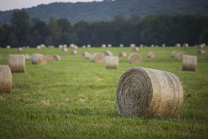 What Are The Biggest Industries In Arkansas?