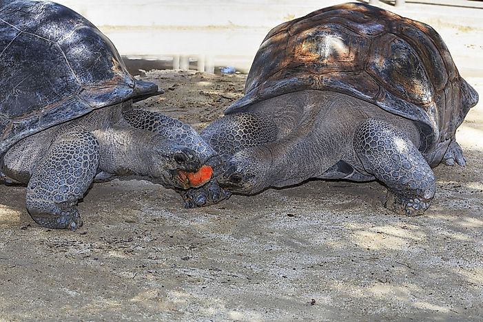 Galápagos Islands, Ecuador: Unique Places To Visit