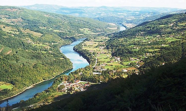 #1 Drina with spring -