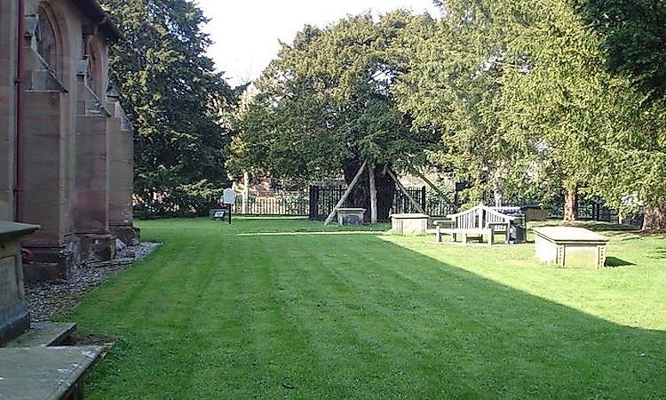 #3 Overton yew trees -