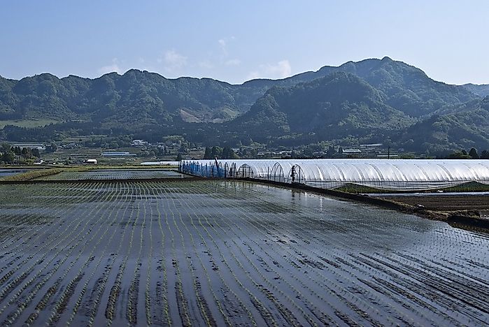 What Do You Know About The Island Of Kyushu?