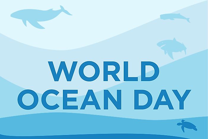 When And Why Is World Oceans Day Celebrated?