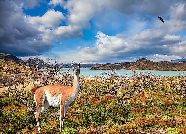 What is a Biosphere Reserve?