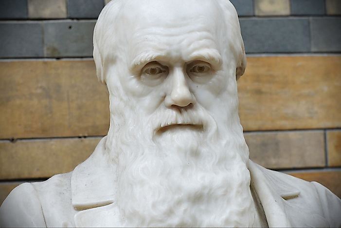 Charles Darwin - Important Figures in History