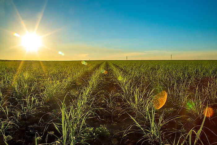 Which Country is Known as the Sugar Bowl of the World?