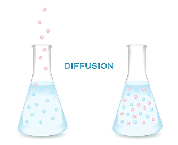 What Is Diffusion?
