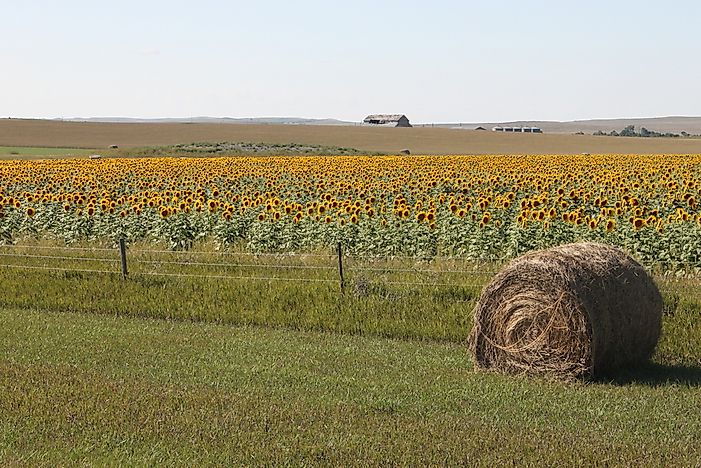 What Are The Biggest Industries In South Dakota?