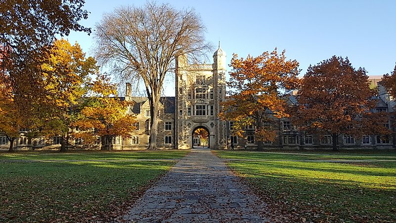 #3 University of Michigan