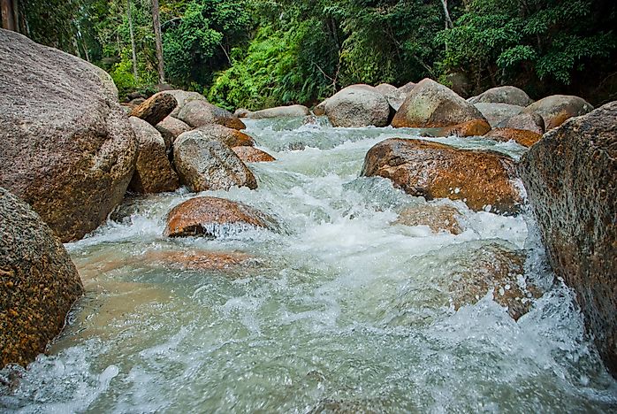 #6 Tasek Bera