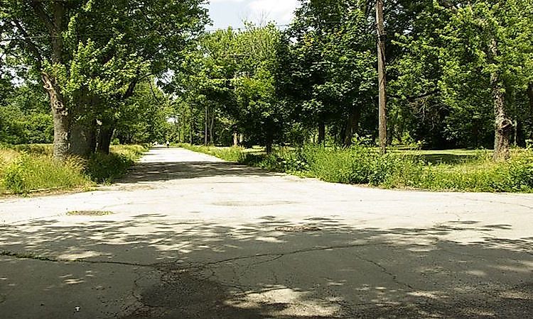The Polluting of Love Canal, New York