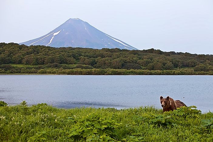 Where Is The Kamchatka Peninsula?