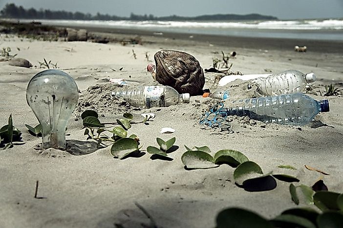 #2 Environmental Effects