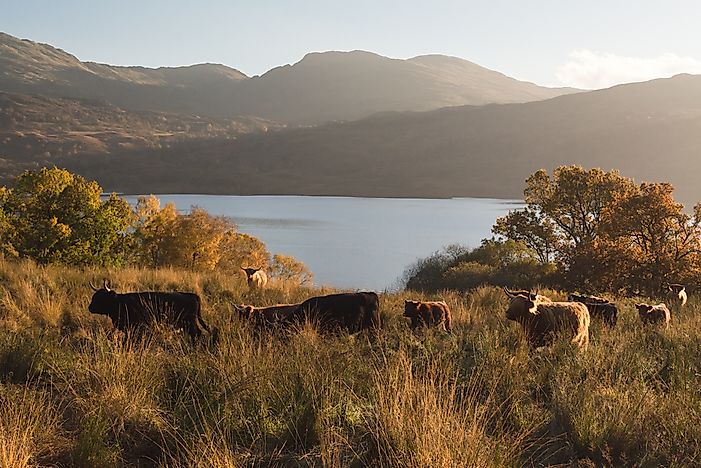 #13 Loch Katrine