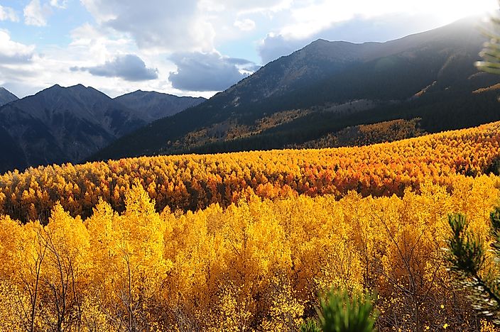 The Highest Peaks of the Rocky Mountains