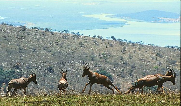 Ecological Regions Of Rwanda