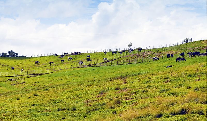 What Are The Major Natural Resources Of Puerto Rico?