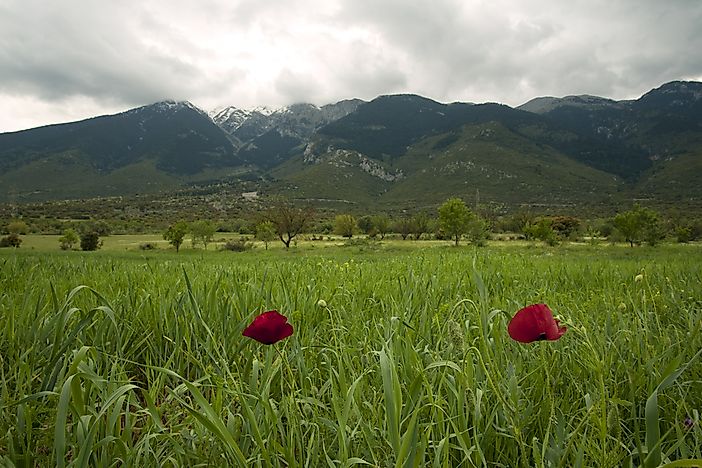 #10 Parnassos National Park