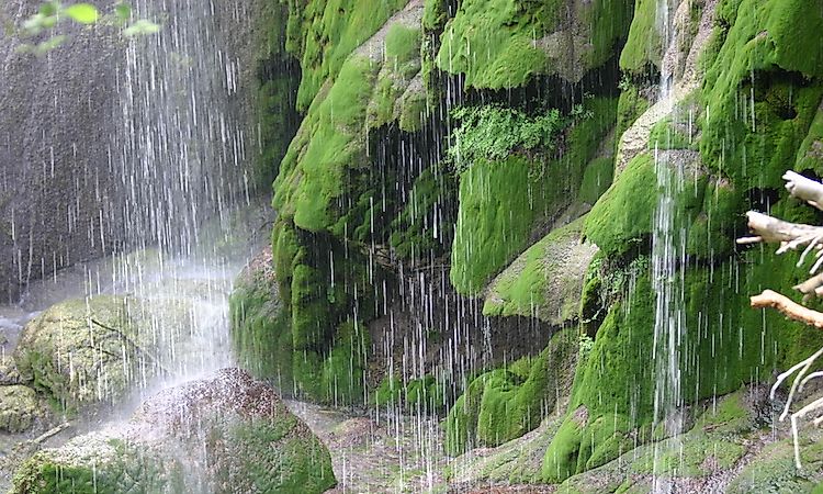 #6 Gorman Falls