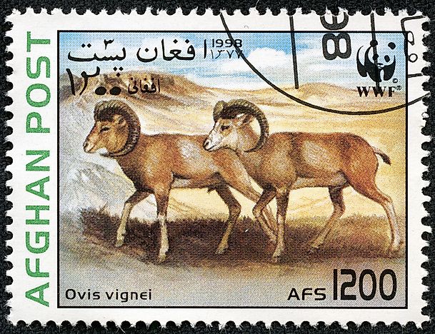 Threatened Mammals of Afghanistan