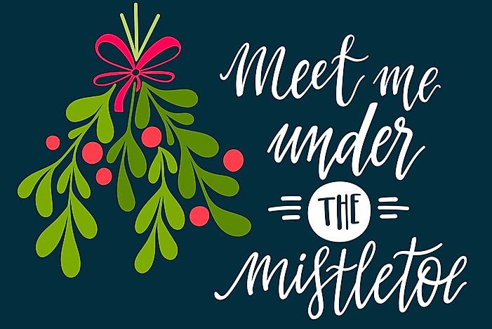 #5 Mistletoe