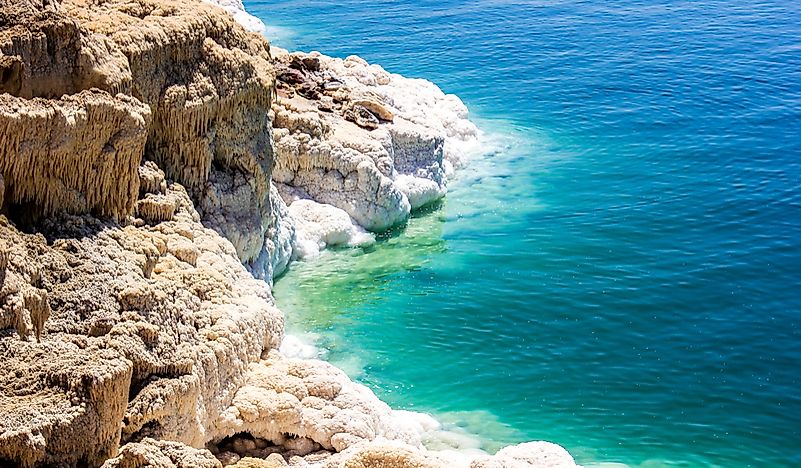 Does Anything Live In The Dead Sea?