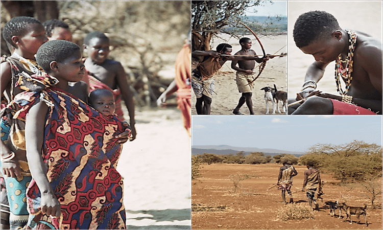 #5 Hadza-