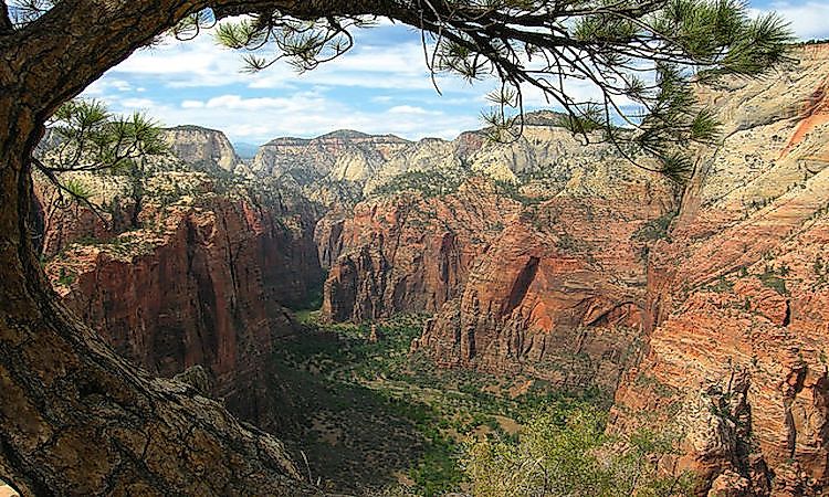 #5 Zion National Park