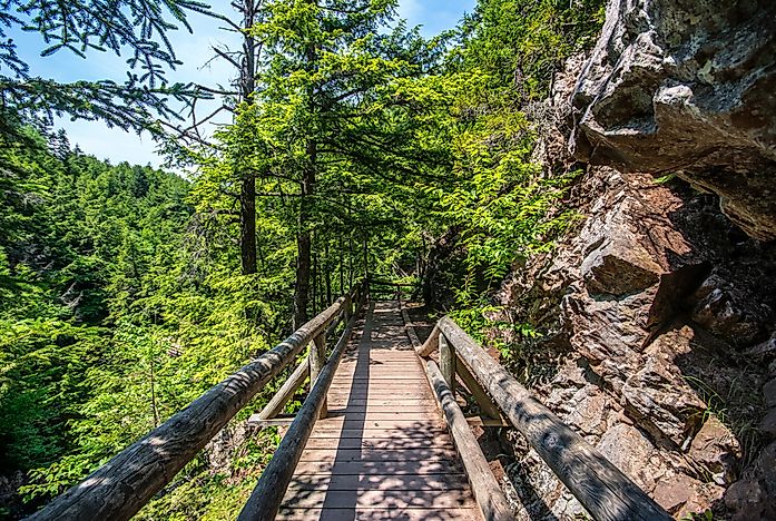 Walking trail in Truro's Victoria Park.