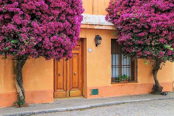 A historic town in Uruguay. A historic town in Uruguay.