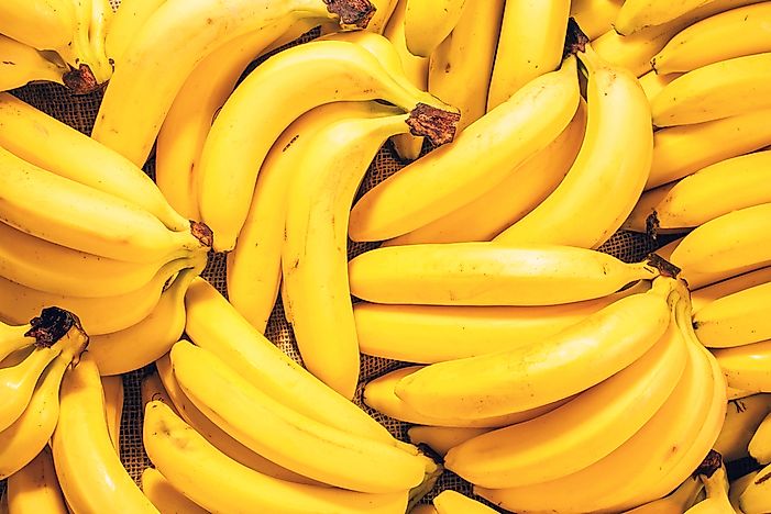 #6 Bananaphobia (Fear of Bananas)