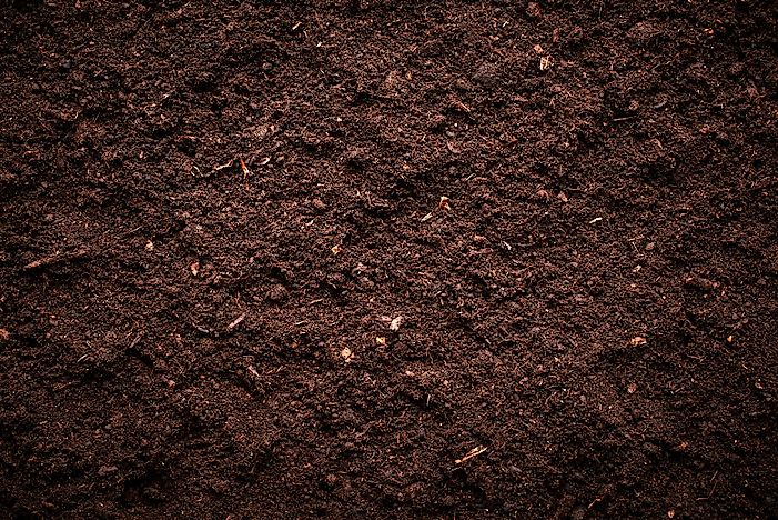 What Does Soil Consist Of?