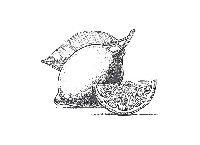 #5 Parti Citron