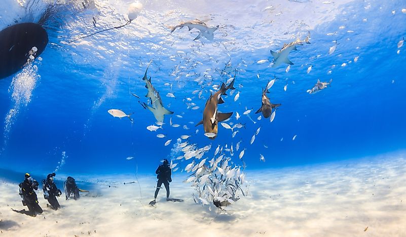 What Are The Biggest Industries In The Bahamas?