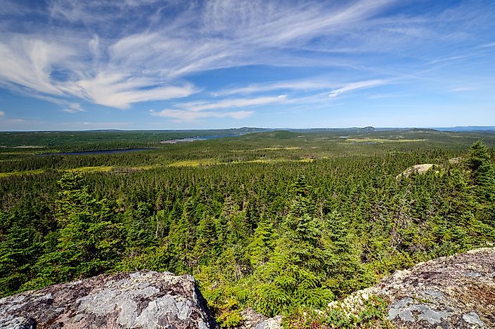 #2 Terra Nova National Park
