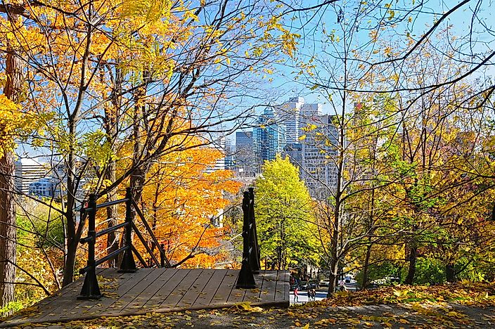 #2 Parc Mont Royal