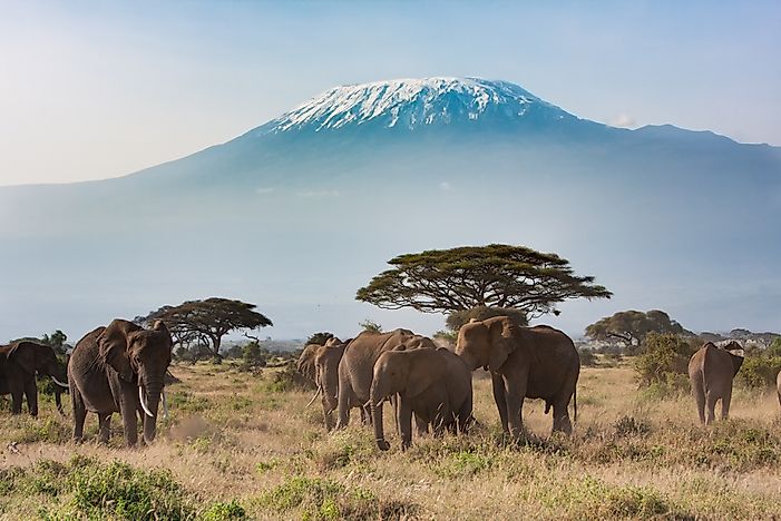 #3 Africa - Kilimanjaro