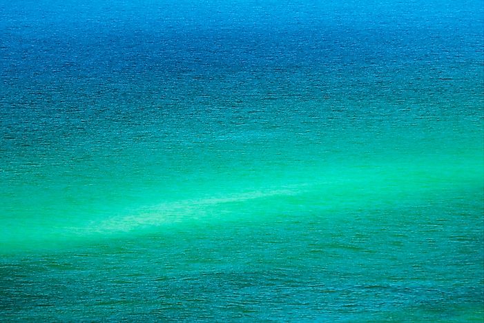 What is a Shoal?