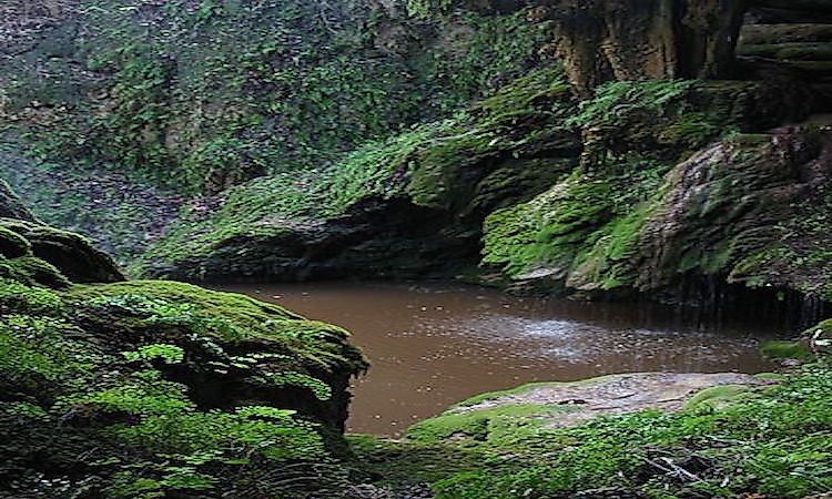 #5 Westcave Preserve Falls