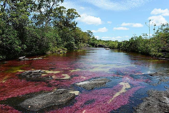 The River of Five Colors - Unique Places Around The World