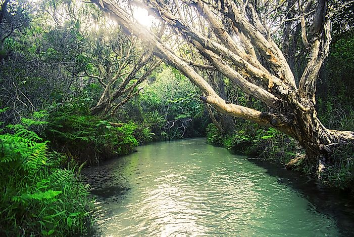 #2 Fraser Island