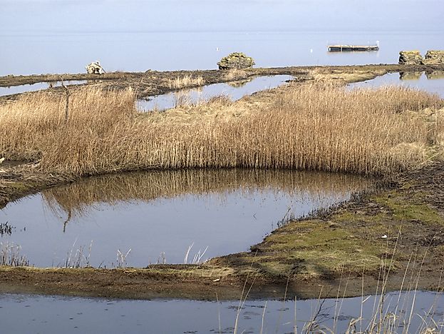 #1 Montrose Basin