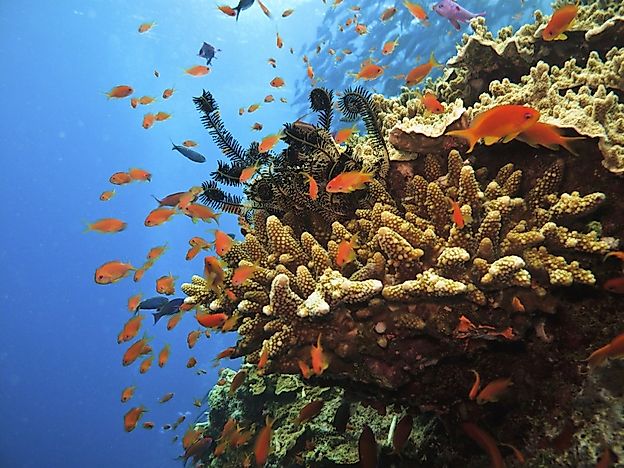Where Is The Great Barrier Reef?