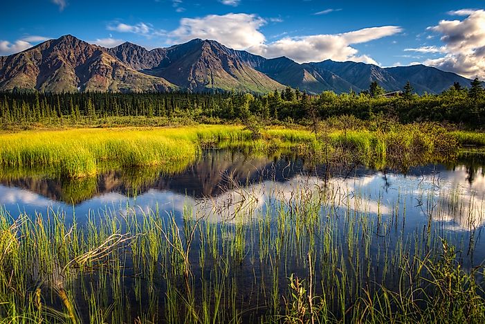 National Park Spotlight: Denali National Park and Preserve