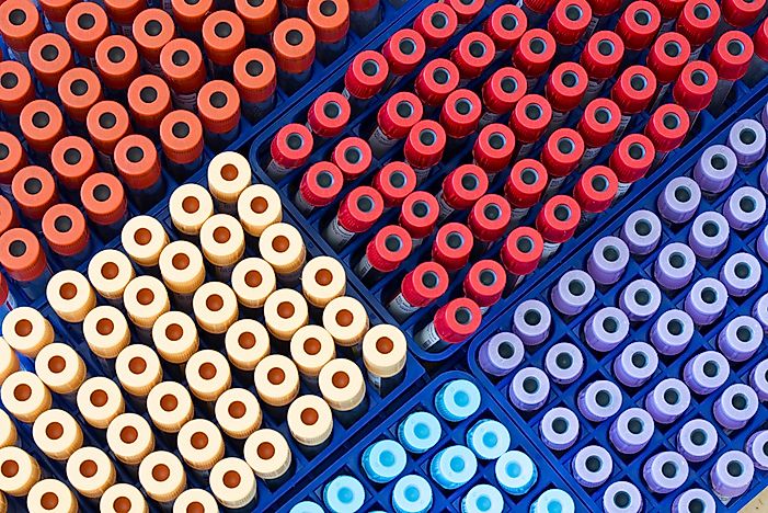 What Is Phlebotomy?