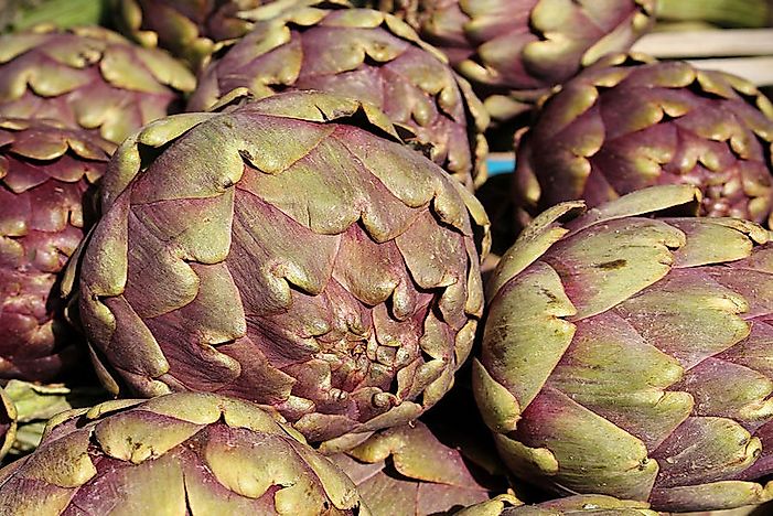 The Top 10 Producers Of Artichokes In The World
